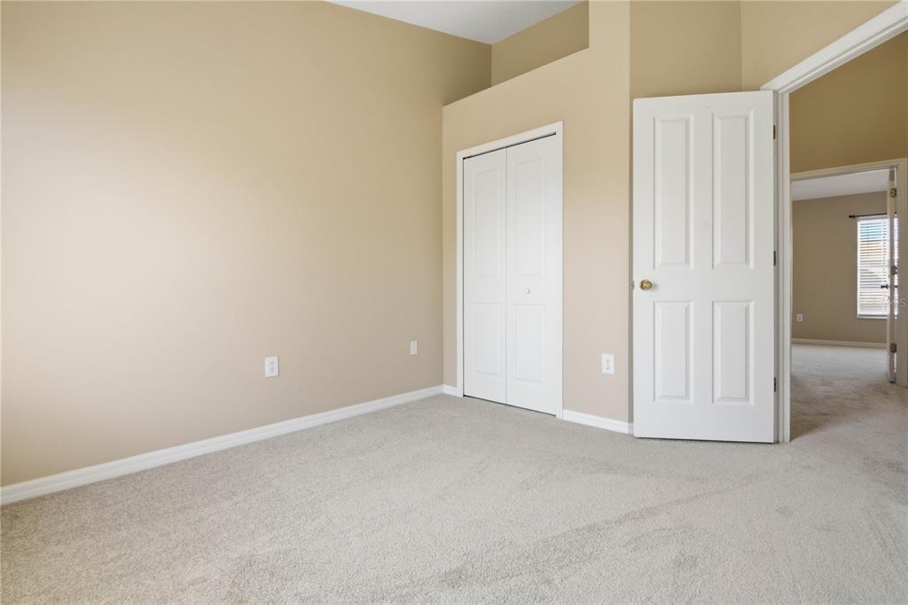 9808 New Parke Road Tampa, FL 33626 - Photo 36 of 52