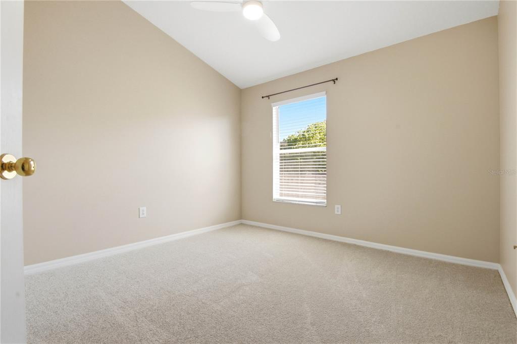 9808 New Parke Road Tampa, FL 33626 - Photo 39 of 52