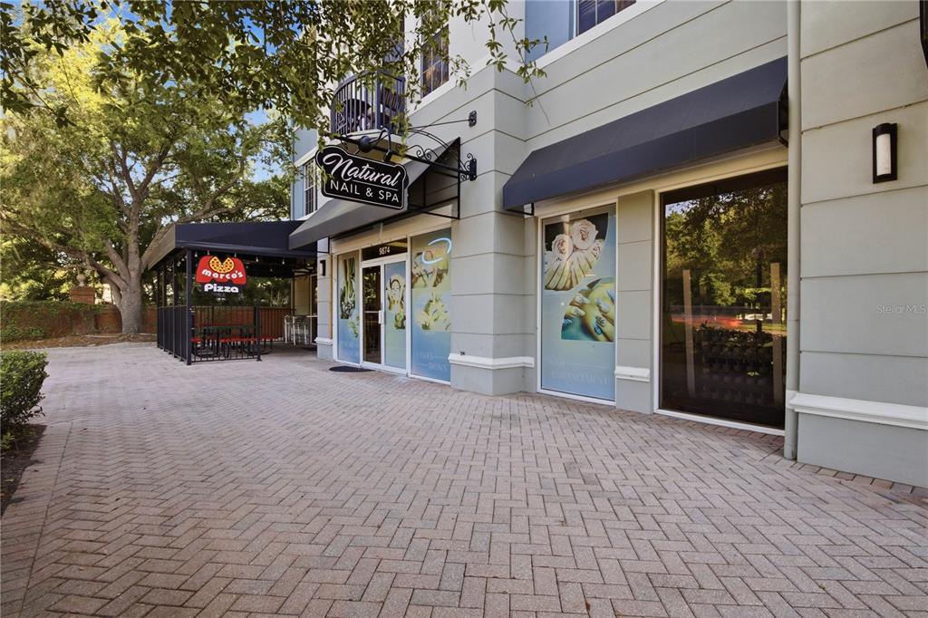 9808 New Parke Road Tampa, FL 33626 - Photo 50 of 52