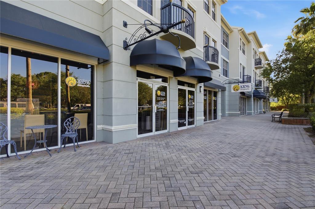 9808 New Parke Road Tampa, FL 33626 - Photo 52 of 52