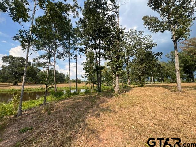 101-acres Off Watson Road Kilgore, TX 75662 - Photo 6 of 18 a view of a park with large trees