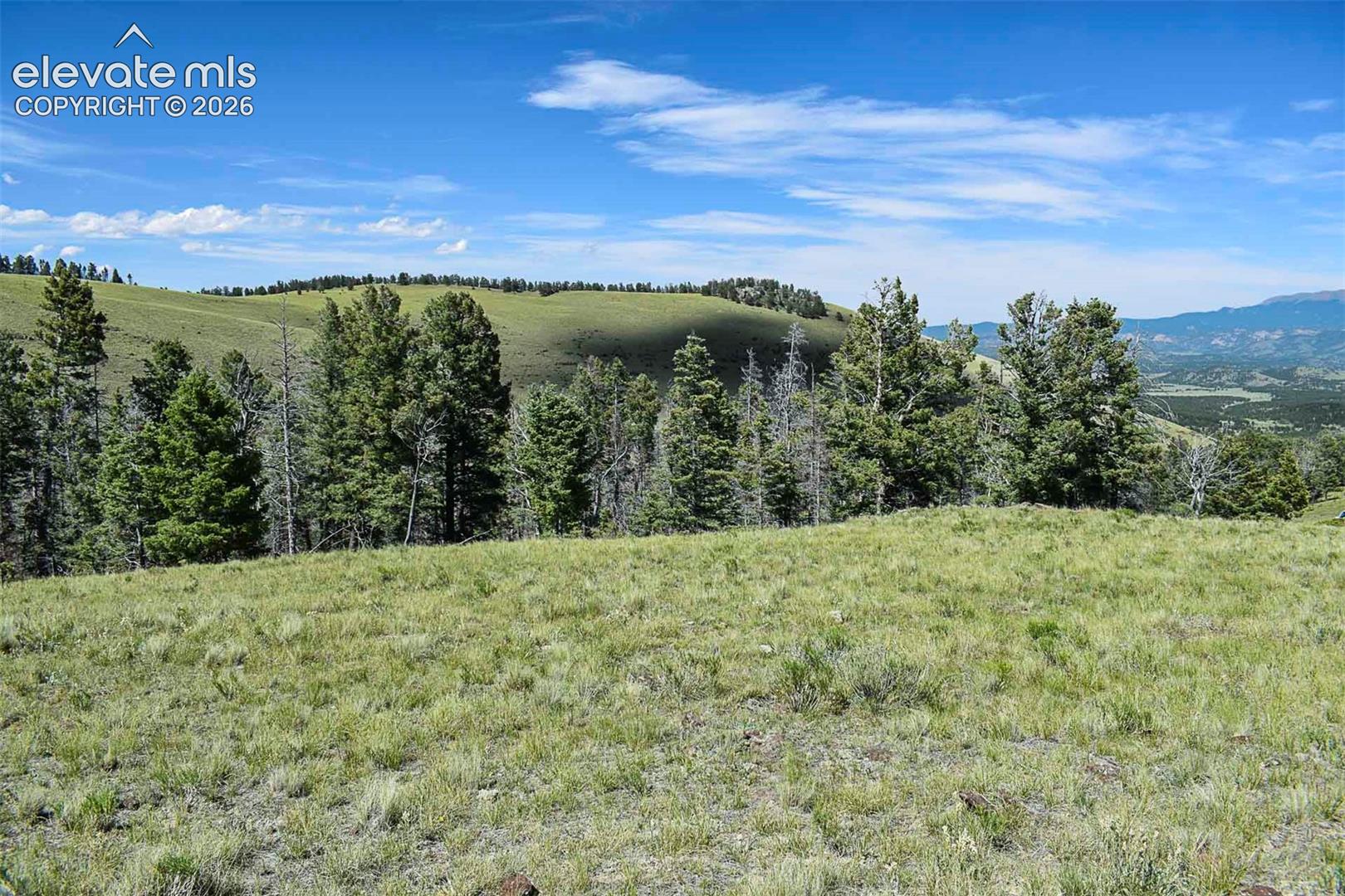 0 Bear Cat Road Guffey, CO 80820 - Photo 5 of 40 Gallery Image 5