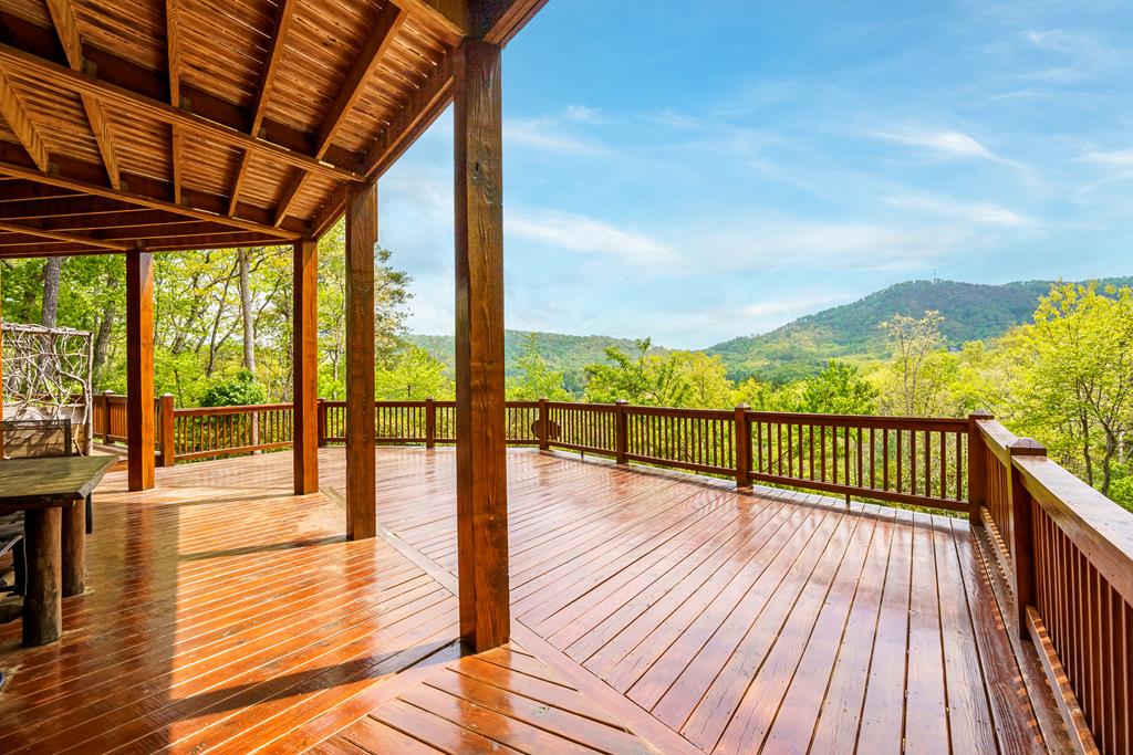 339 Birdseye View Blue Ridge, GA 30513 - Photo 60 of 69