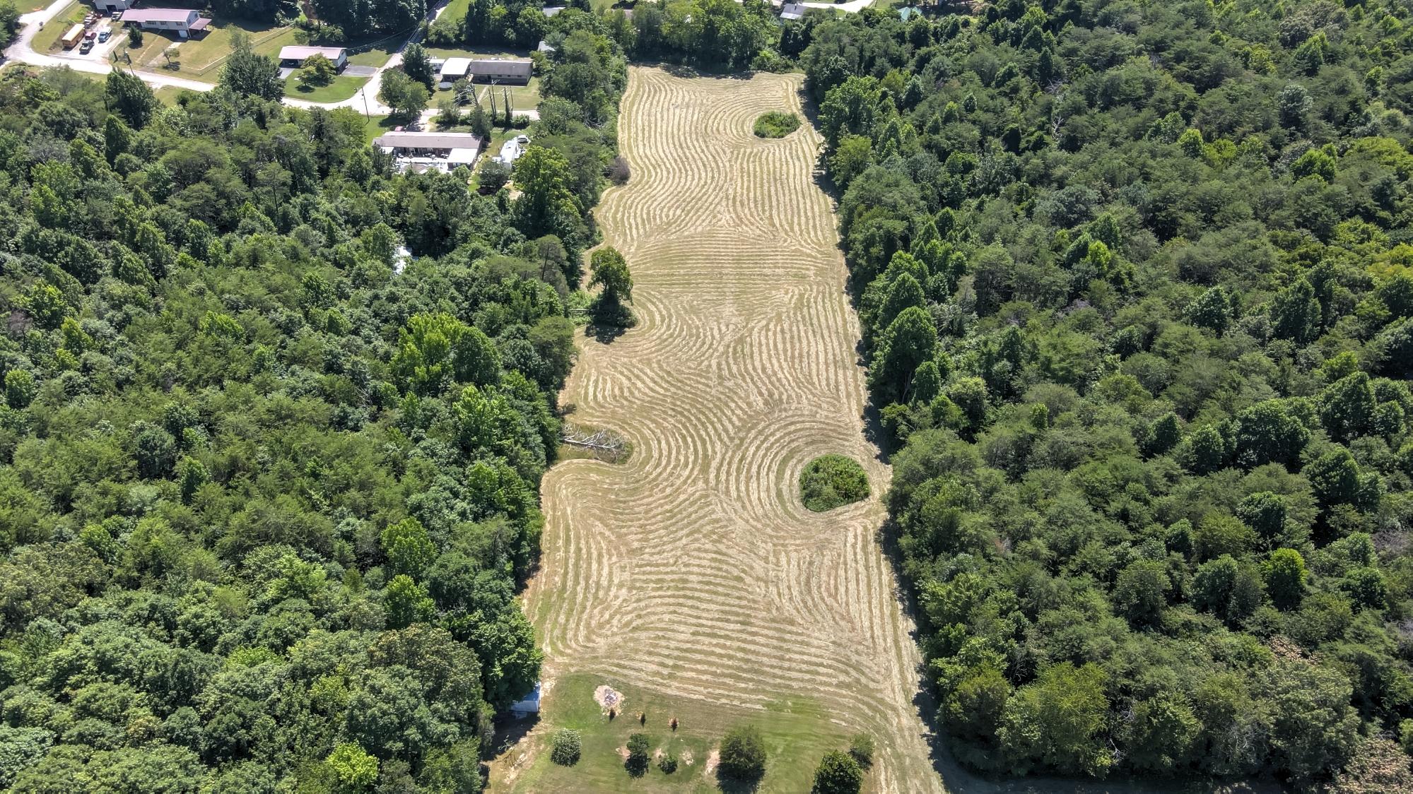 Patty Road Maryville, TN 37803 - Photo 4 of 11 Aerial - Back Section