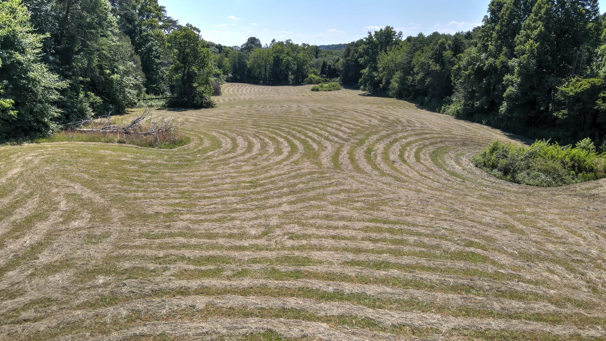 Patty Road Maryville, TN 37803 - Photo 6 of 11 Back Section from Mid Point