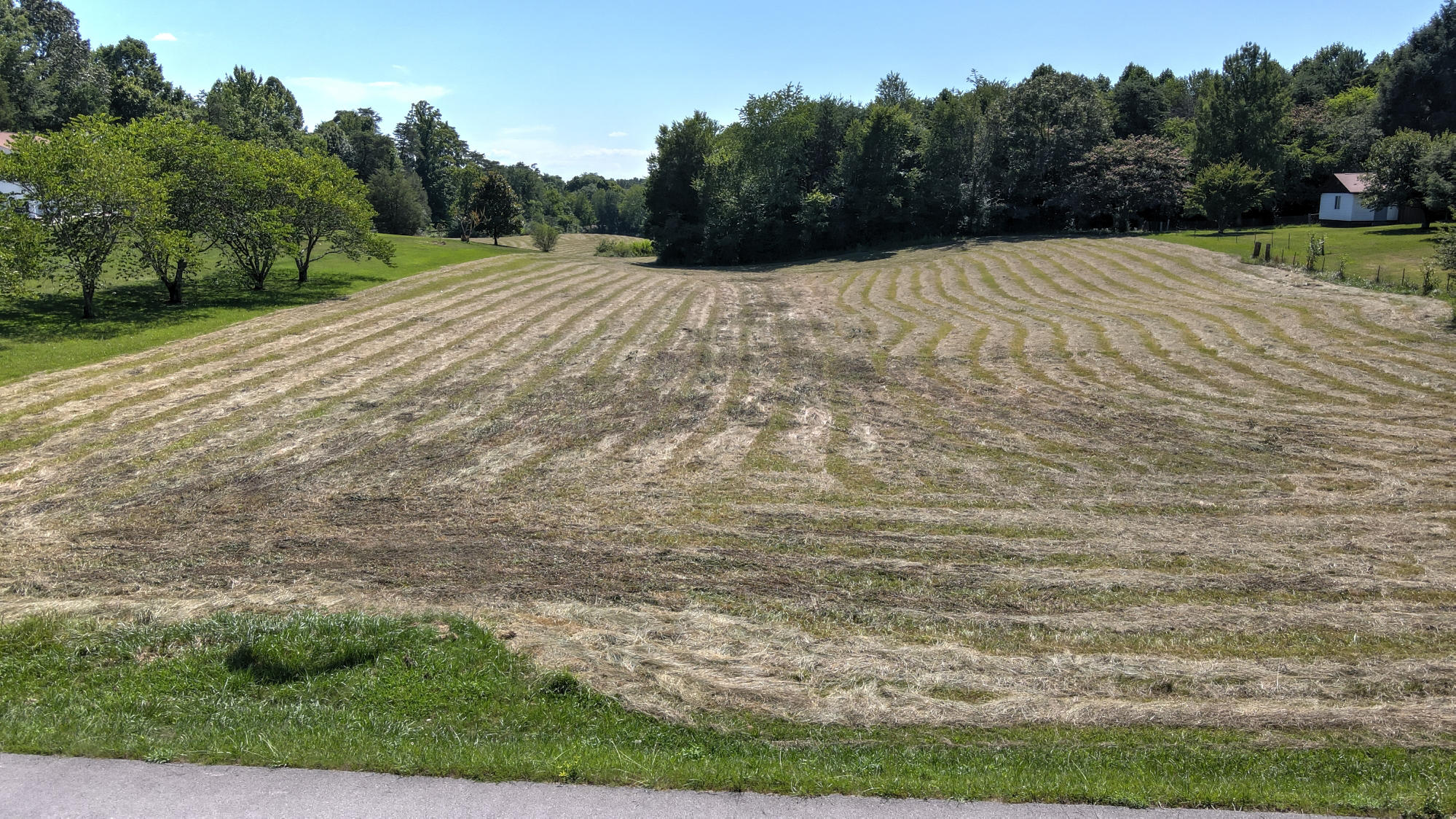 Patty Road Maryville, TN 37803 - Photo 10 of 11 Street View