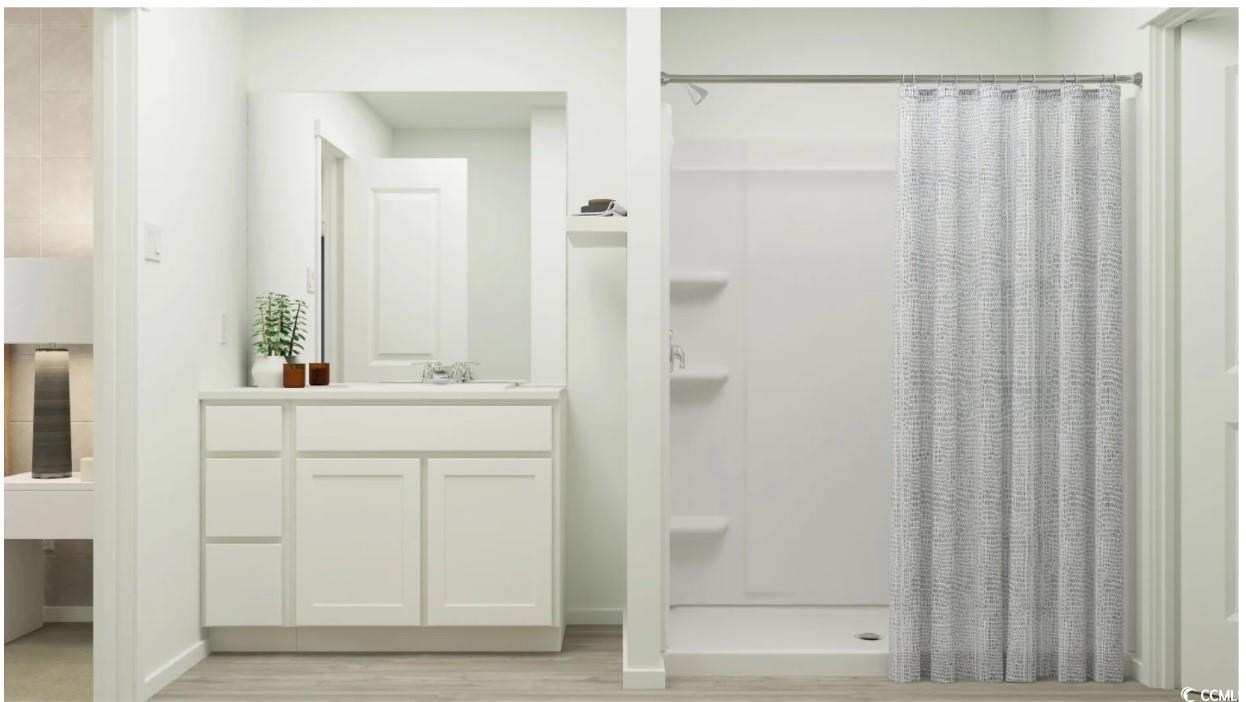 520 Runaway Train Drive Loris, SC 29569 - Photo 11 of 19