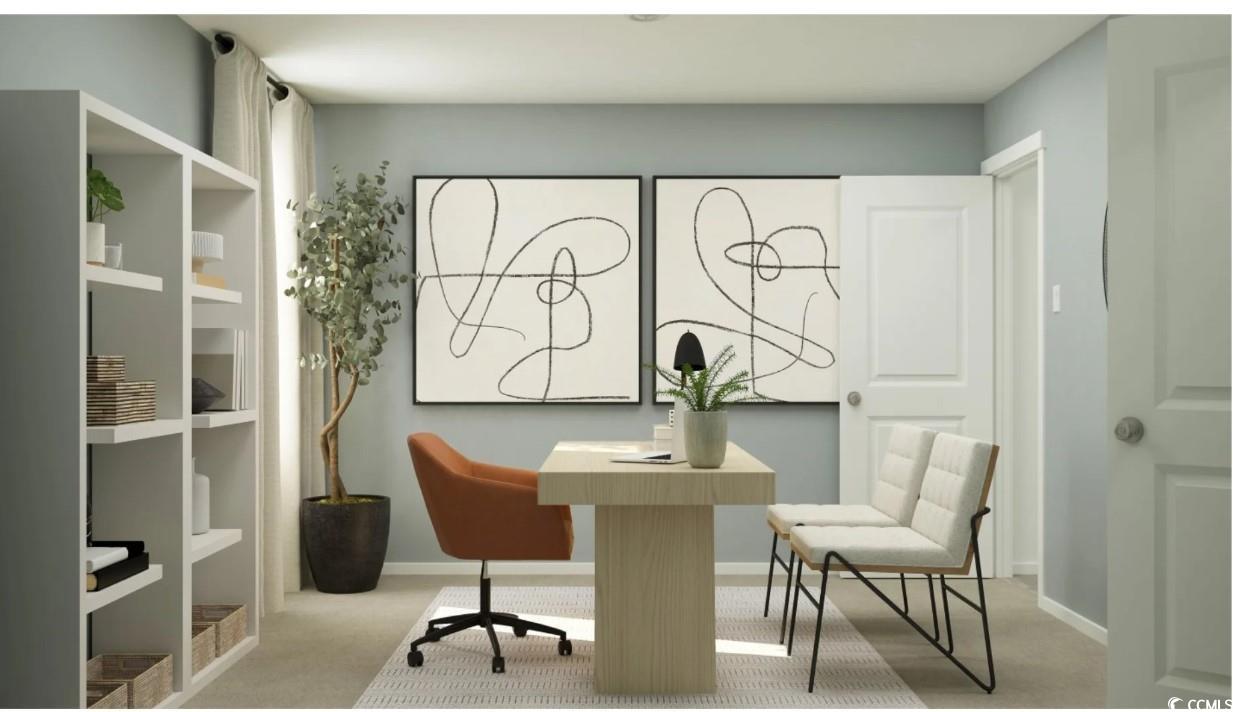 520 Runaway Train Drive Loris, SC 29569 - Photo 17 of 19