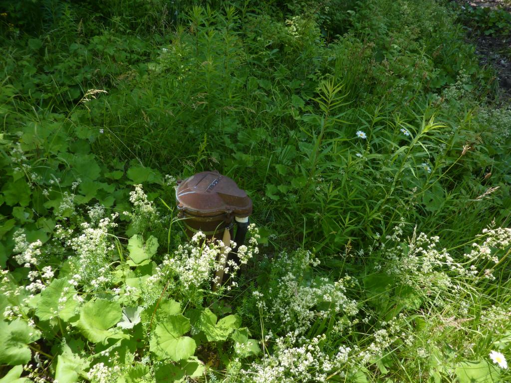 500 Willey Farm Road Kirby, VT 05851 - Photo 20 of 22 Gallery Image 20