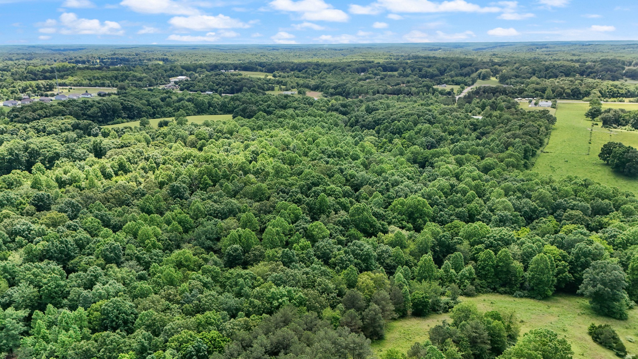0 Highway 46 Dickson, TN 37055 - Photo 11 of 16 a view of a green field with lots of bushes