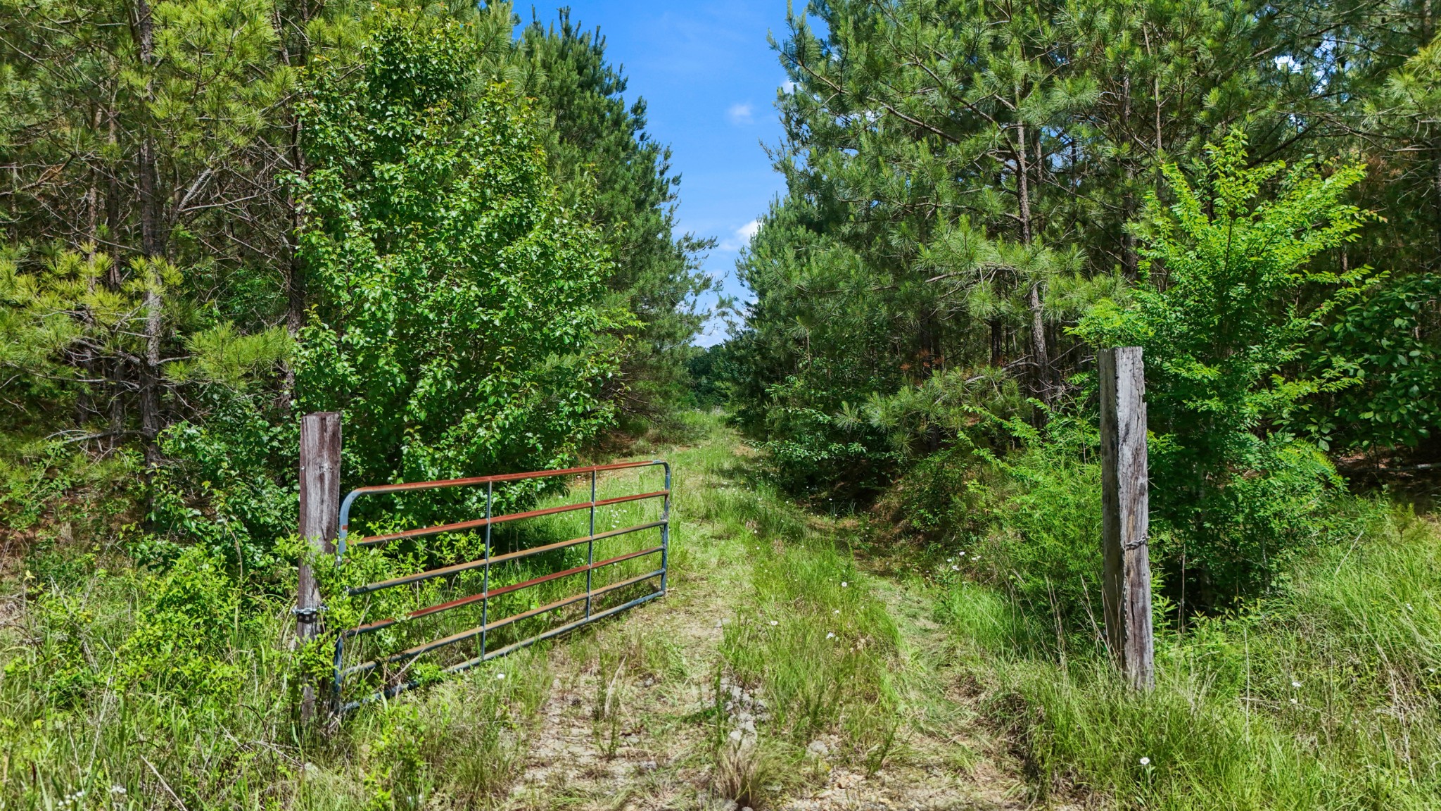 0 Highway 46 Dickson, TN 37055 - Photo 5 of 16 a view of outdoor space and yard