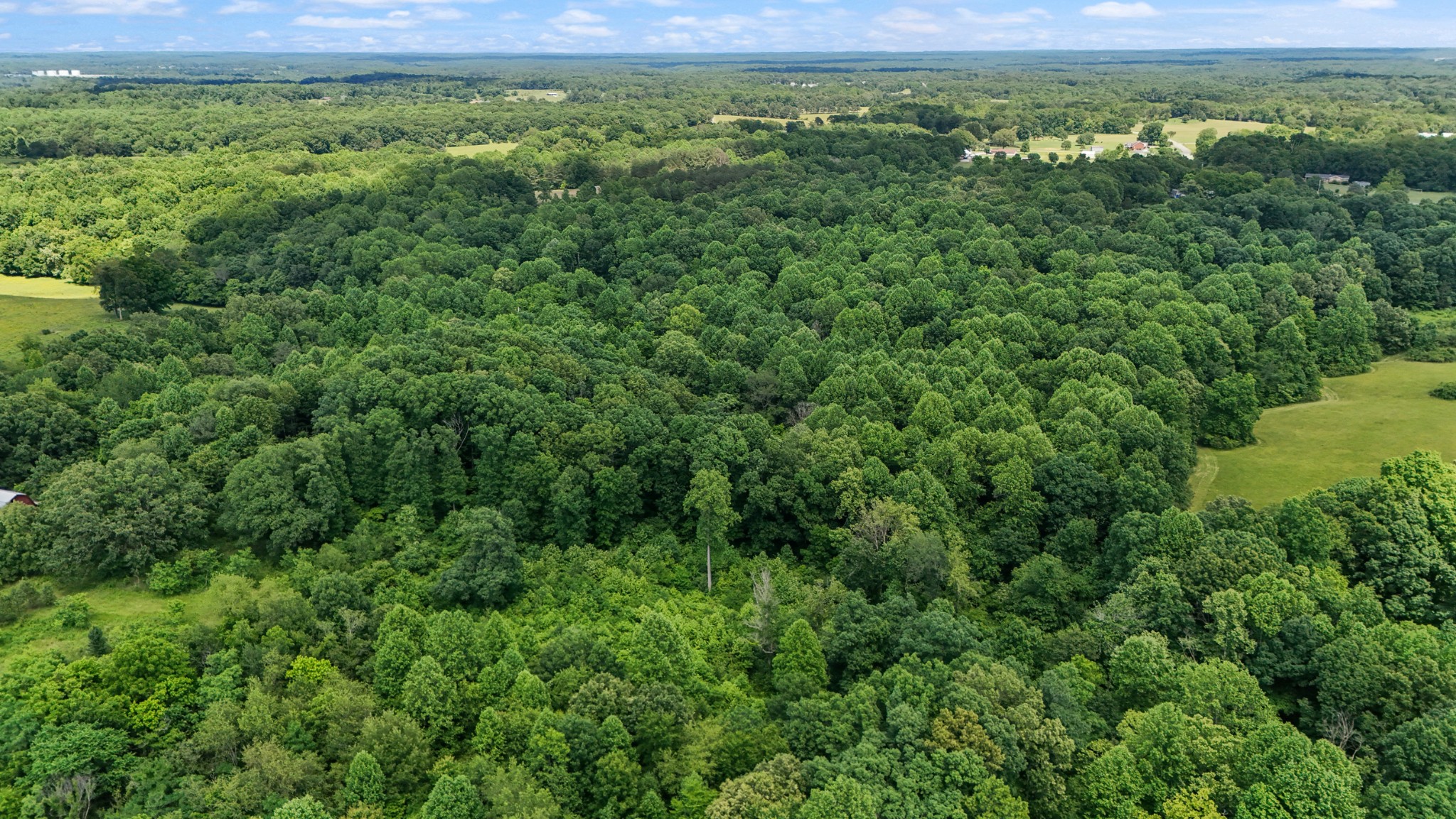 0 Highway 46 Dickson, TN 37055 - Photo 6 of 16 a view of a yard with an outdoor space