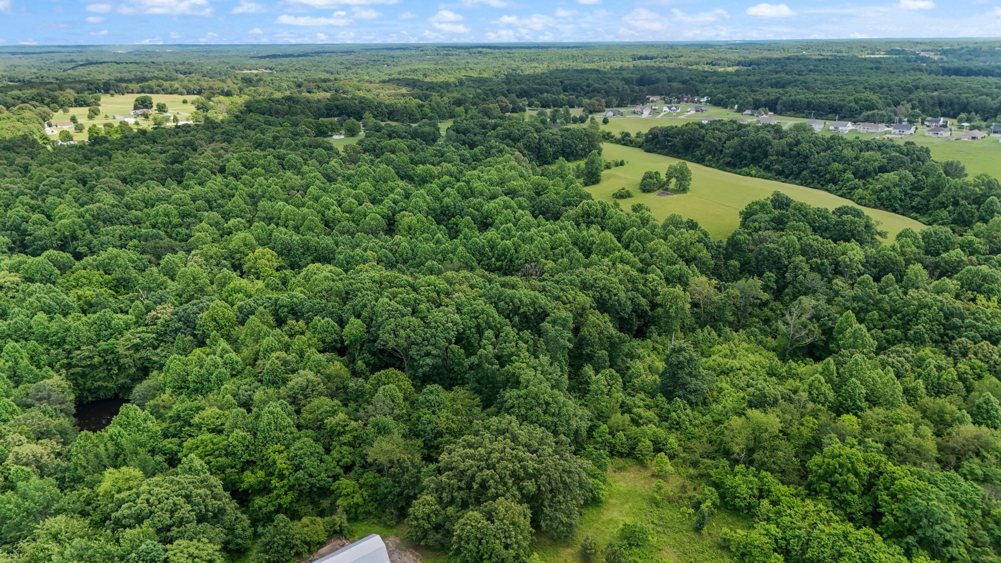 0 Highway 46 Dickson, TN 37055 - Photo 7 of 16 a view of a lush green forest with a houses