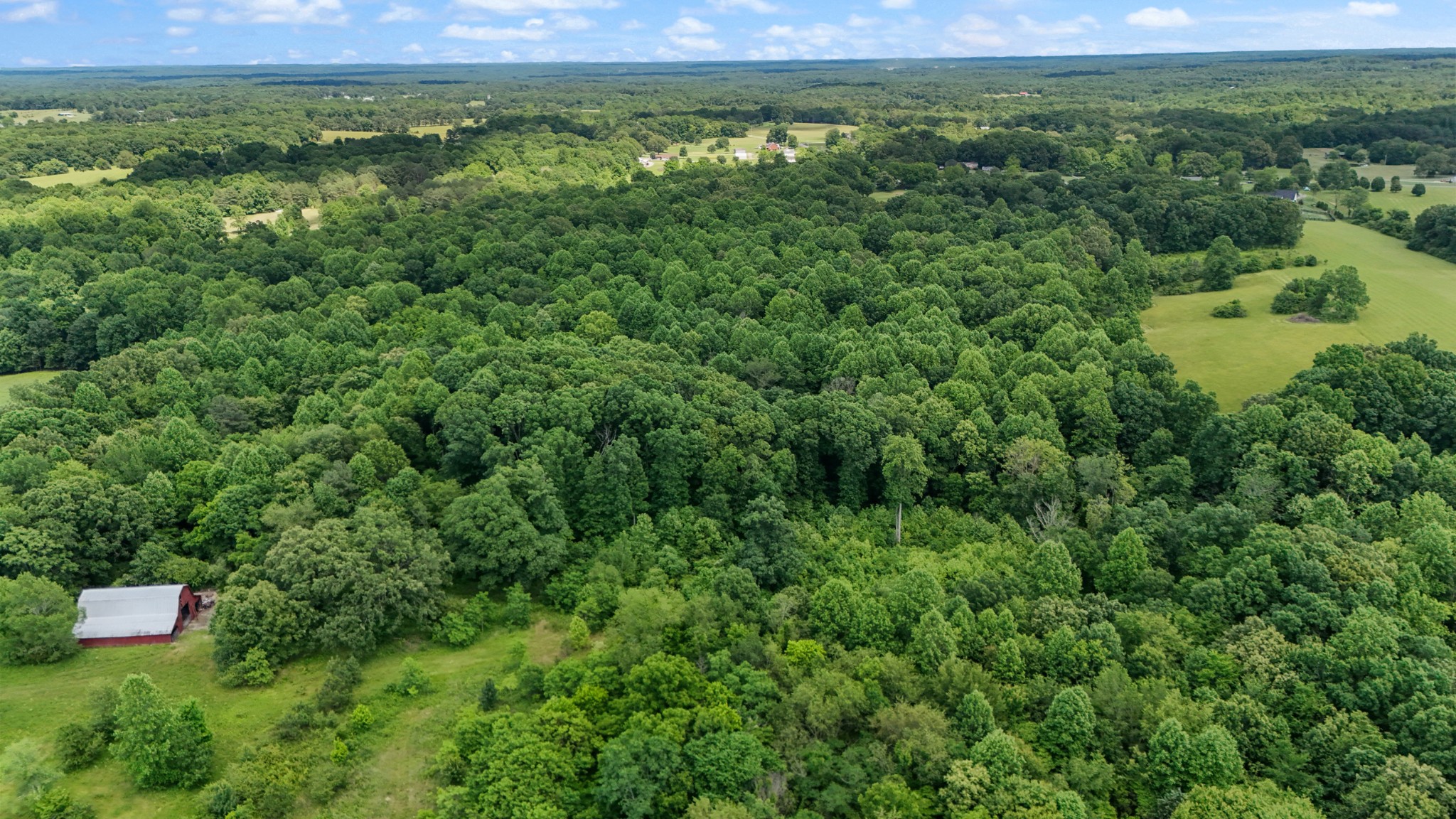 0 Highway 46 Dickson, TN 37055 - Photo 8 of 16 a view of a lush green forest with a houses