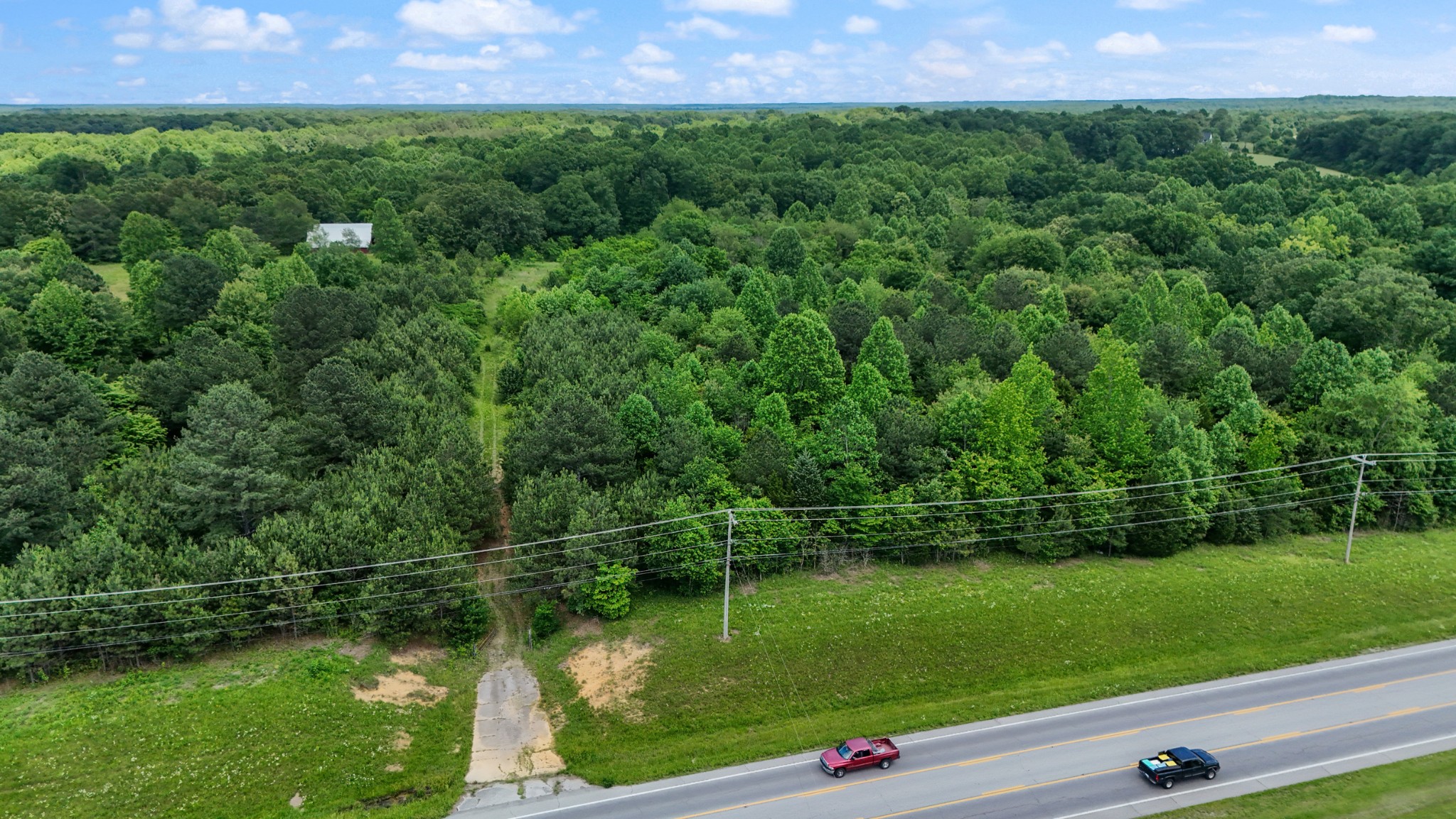 0 Highway 46 Dickson, TN 37055 - Photo 9 of 16 a view of a garden with a lake