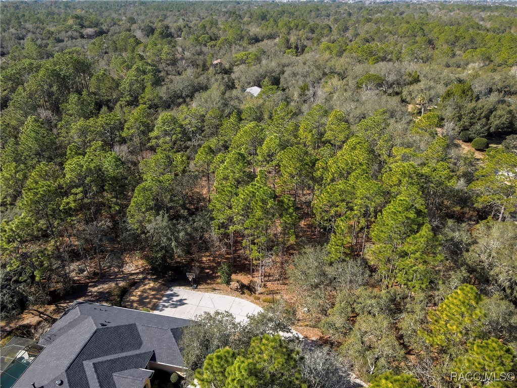 3905 North Longvalley Road Hernando, FL 34442 - Photo 8 of 12