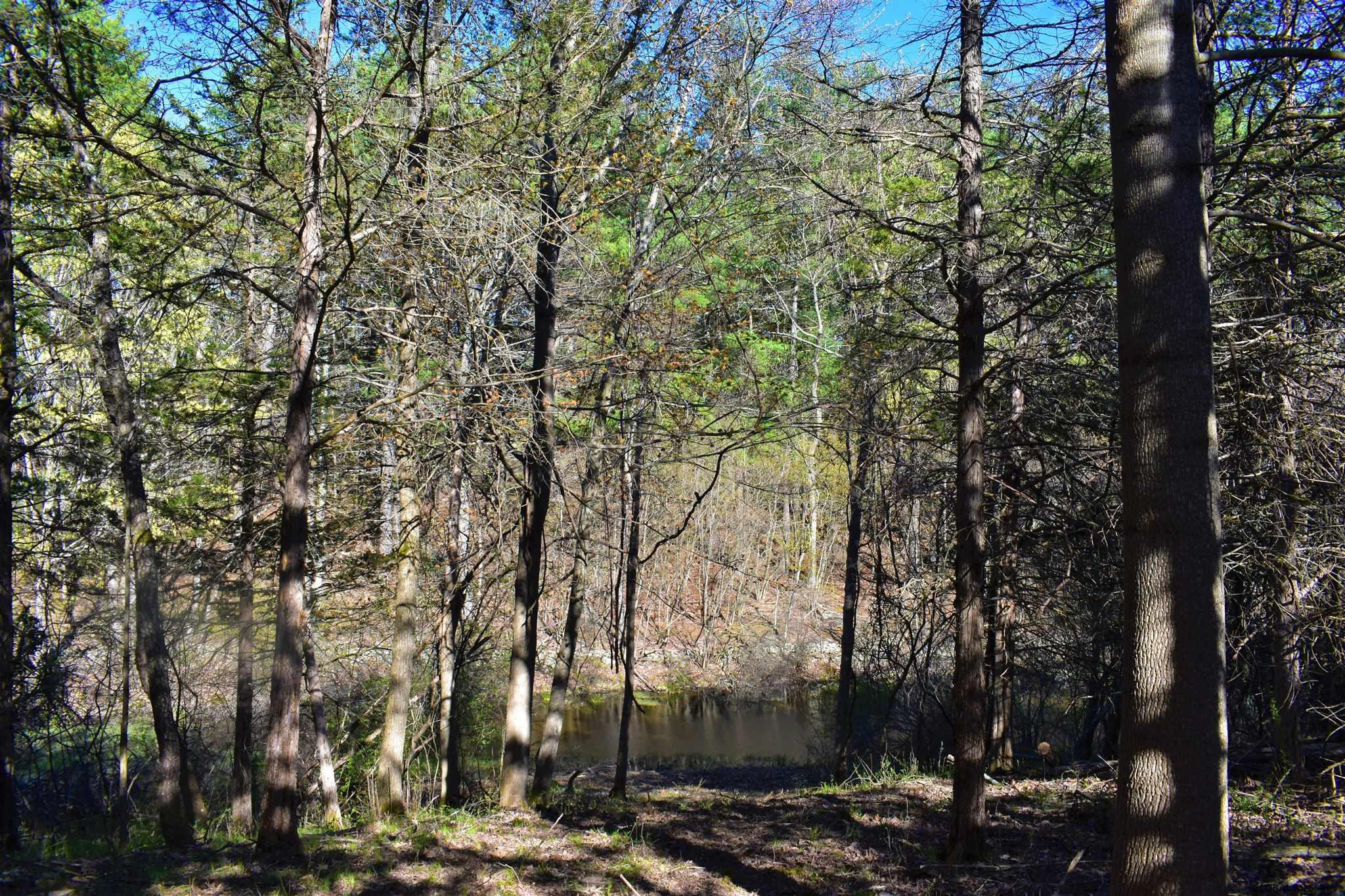King Hill Road Freehold, NY 12431 - Photo 11 of 13 Photo 11