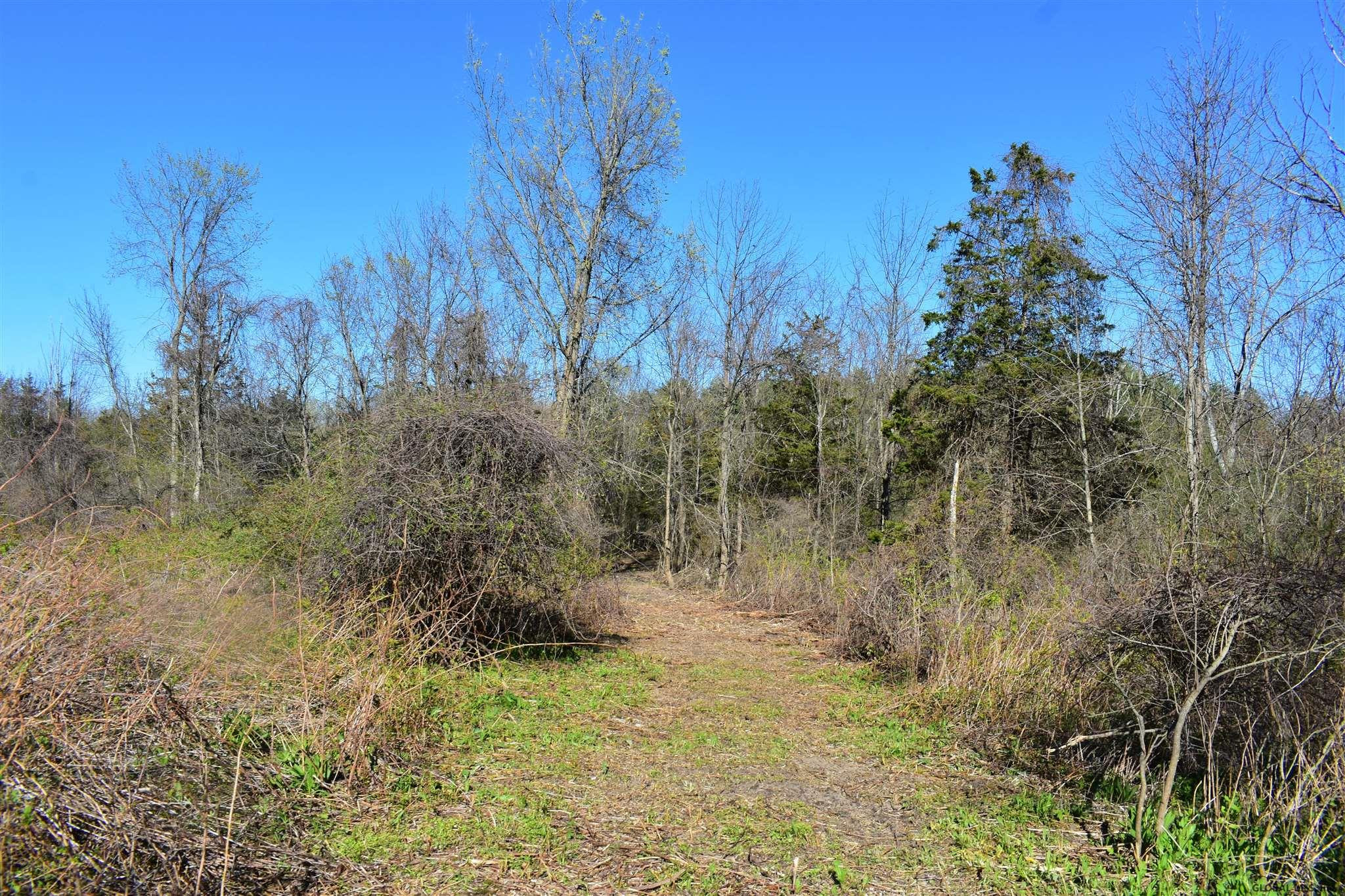 King Hill Road Freehold, NY 12431 - Photo 3 of 13 Photo 3