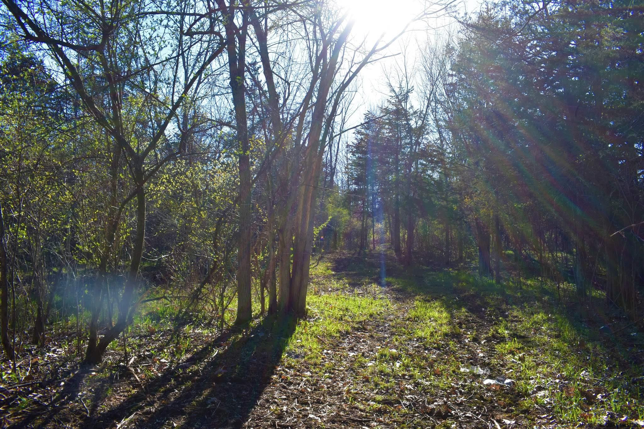 King Hill Road Freehold, NY 12431 - Photo 6 of 13 Photo 6