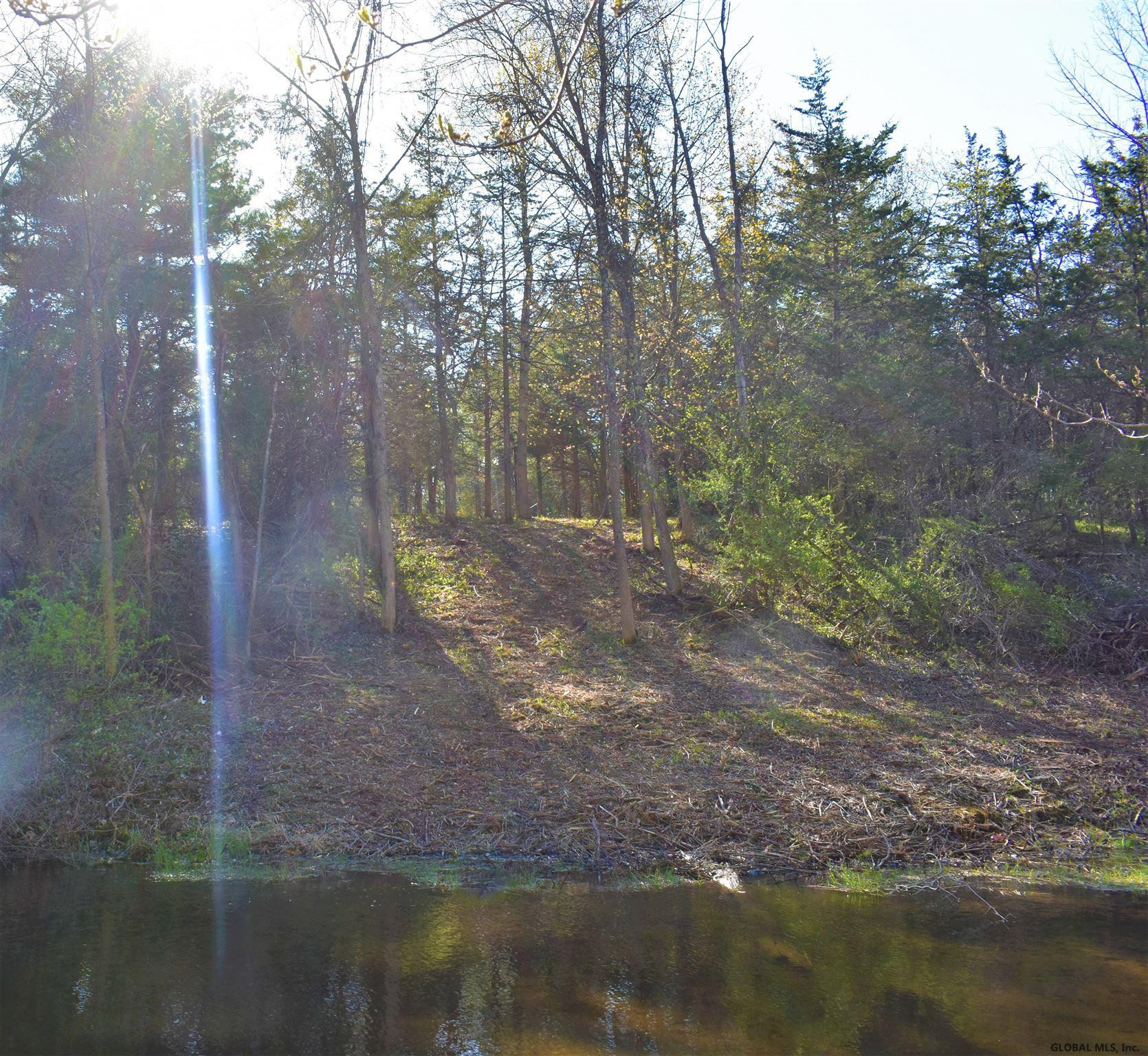 King Hill Road Freehold, NY 12431 - Photo 7 of 13 Photo 7