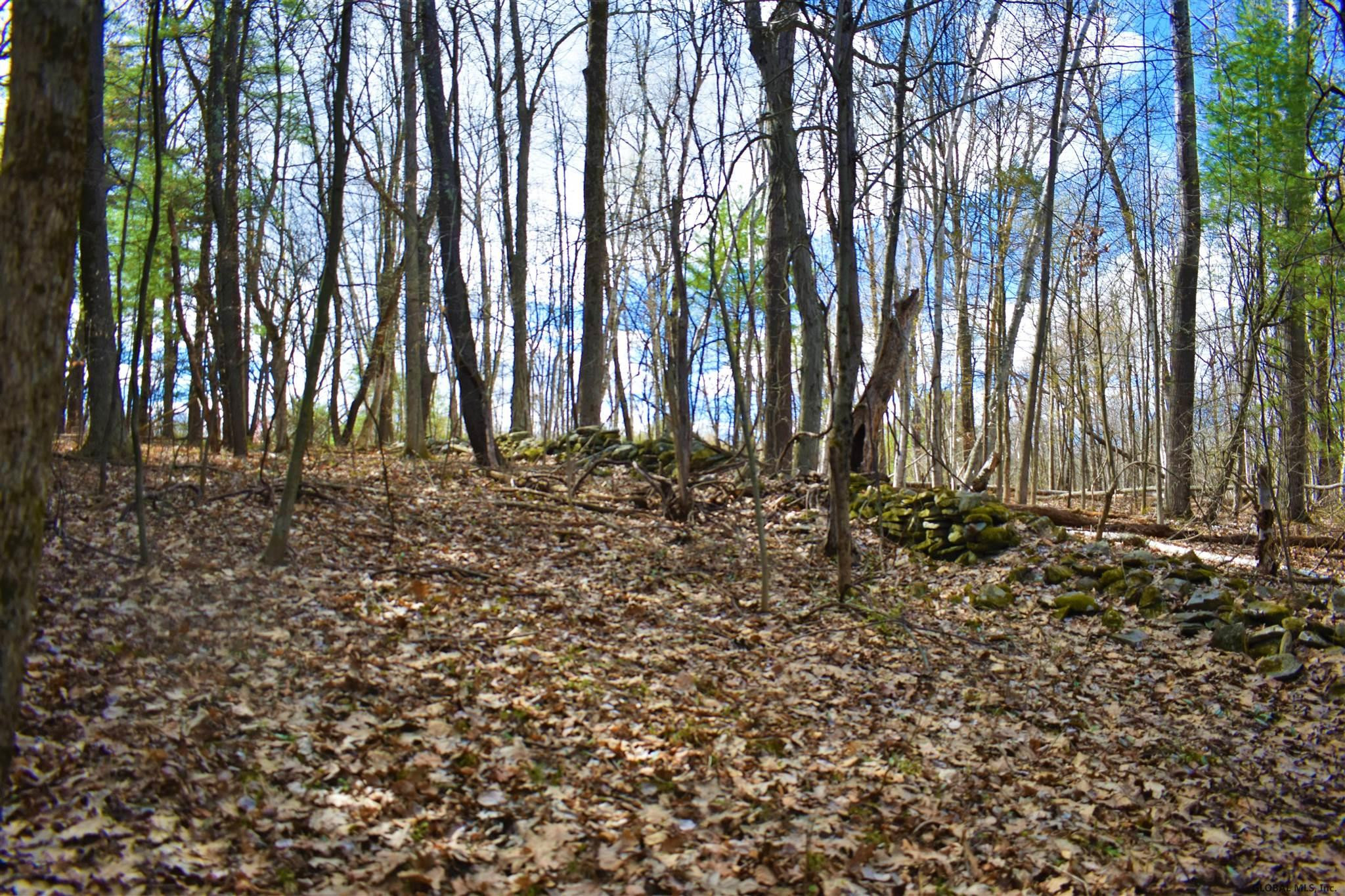 King Hill Road Freehold, NY 12431 - Photo 8 of 13 Photo 8