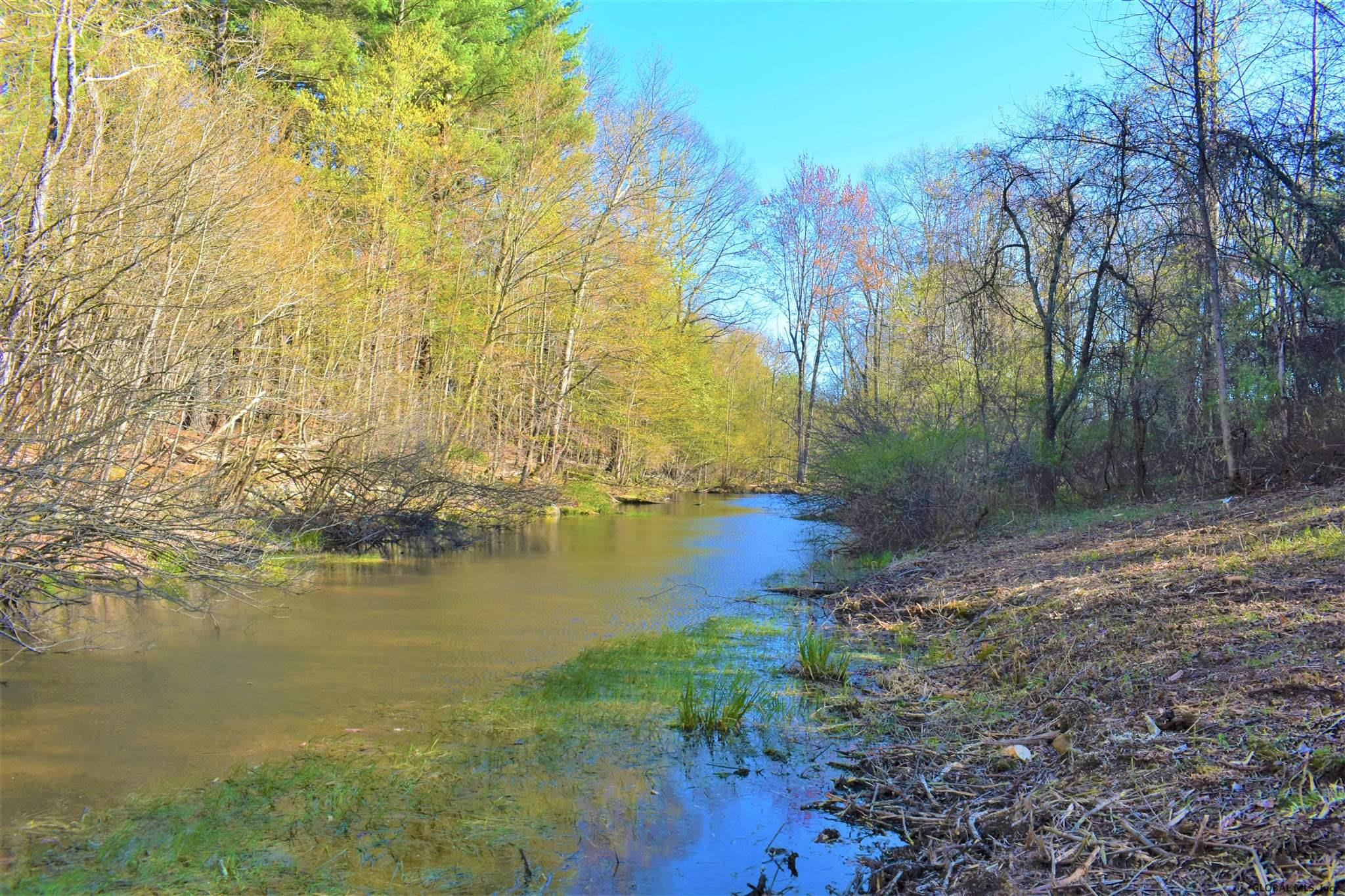 King Hill Road Freehold, NY 12431 - Photo 9 of 13 Photo 9