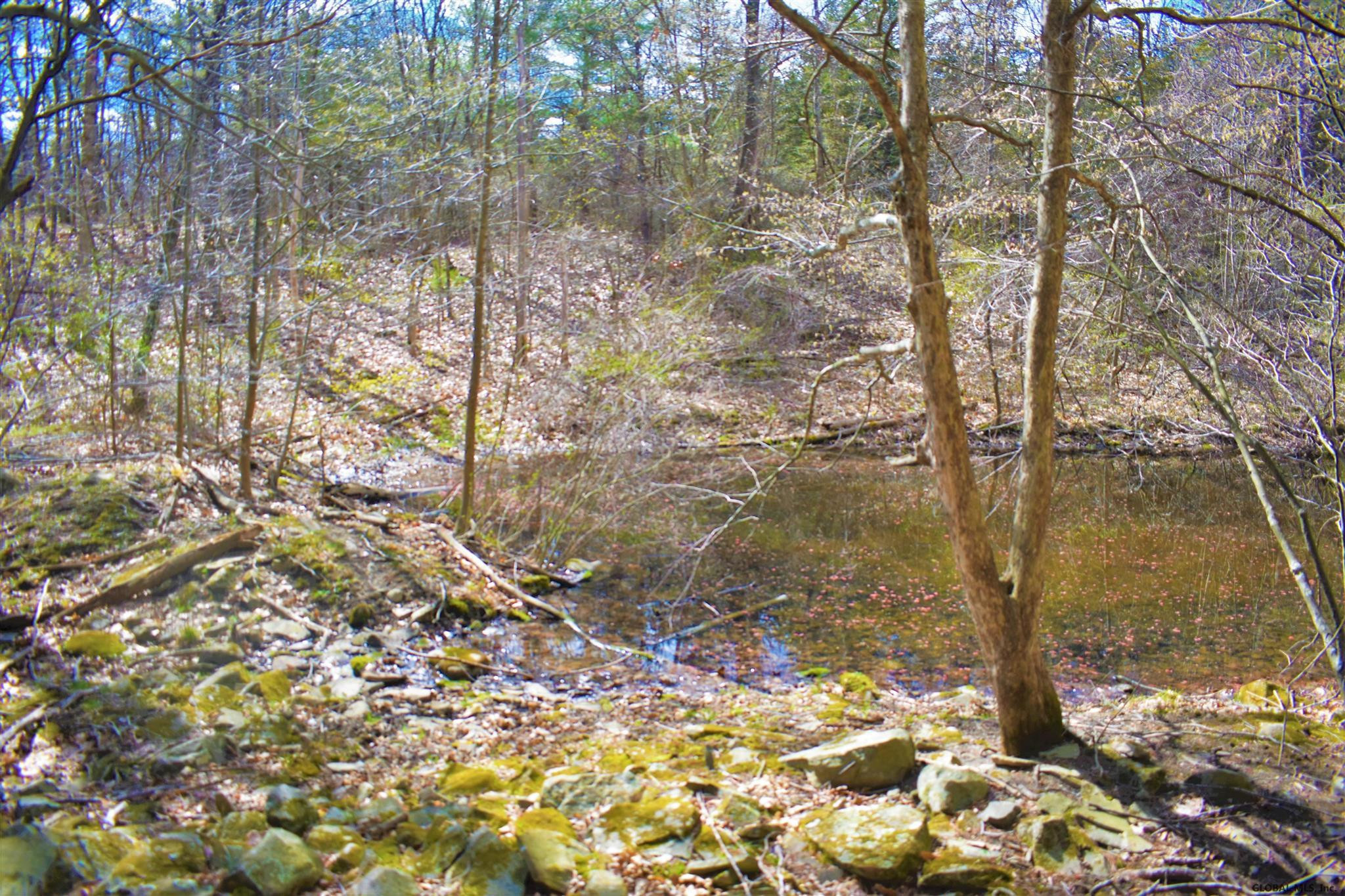 King Hill Road Freehold, NY 12431 - Photo 10 of 13 Photo 10