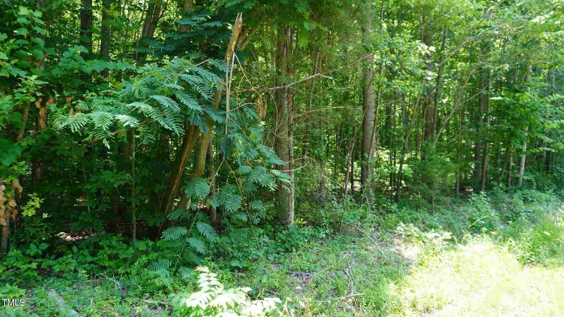 0 Cornwall Road Bullock, NC 27507 - Photo 1 of 8 1