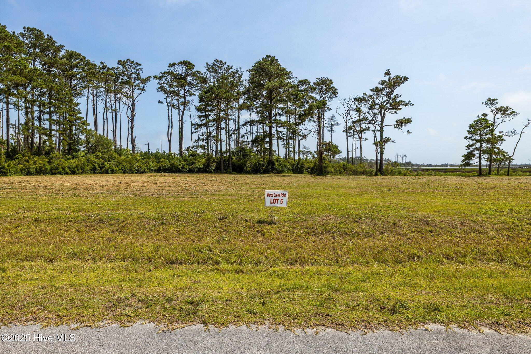 313 Anson Road Beaufort, NC 28516 - Photo 1 of 3 Lot #5 Street View