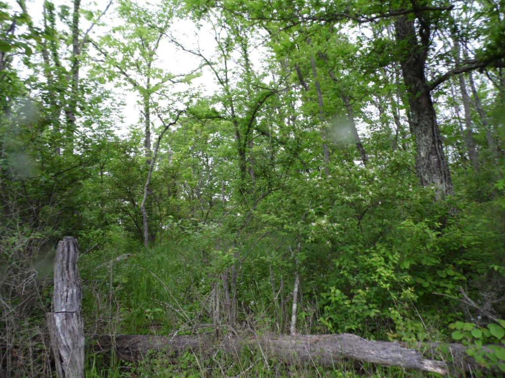 46 Ritchey Road Lawrenceburg, KY 40342 - Photo 5 of 7 Photo 5