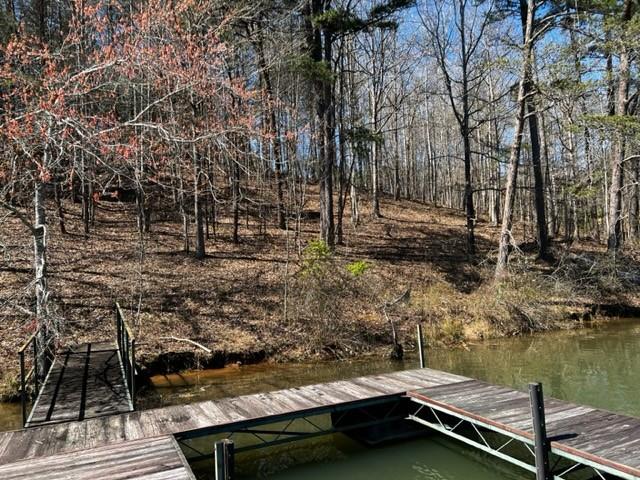 5 Point Lane Mill Spring, NC 28756 - Photo 4 of 6 not sure