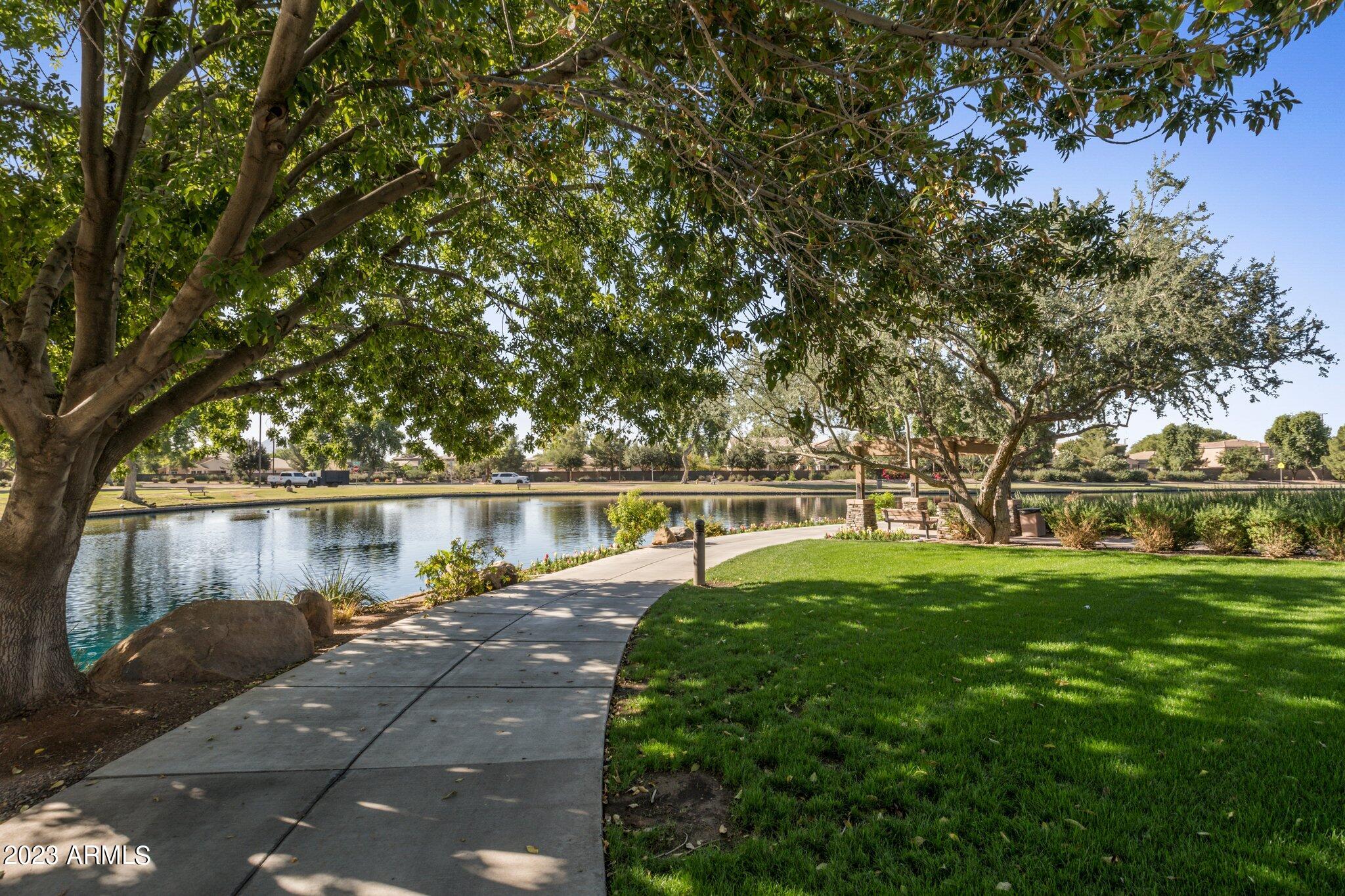 4565 East Ruffian Road Gilbert, AZ 85297 - Photo 36 of 47 a view of yard with green space and trees in the background