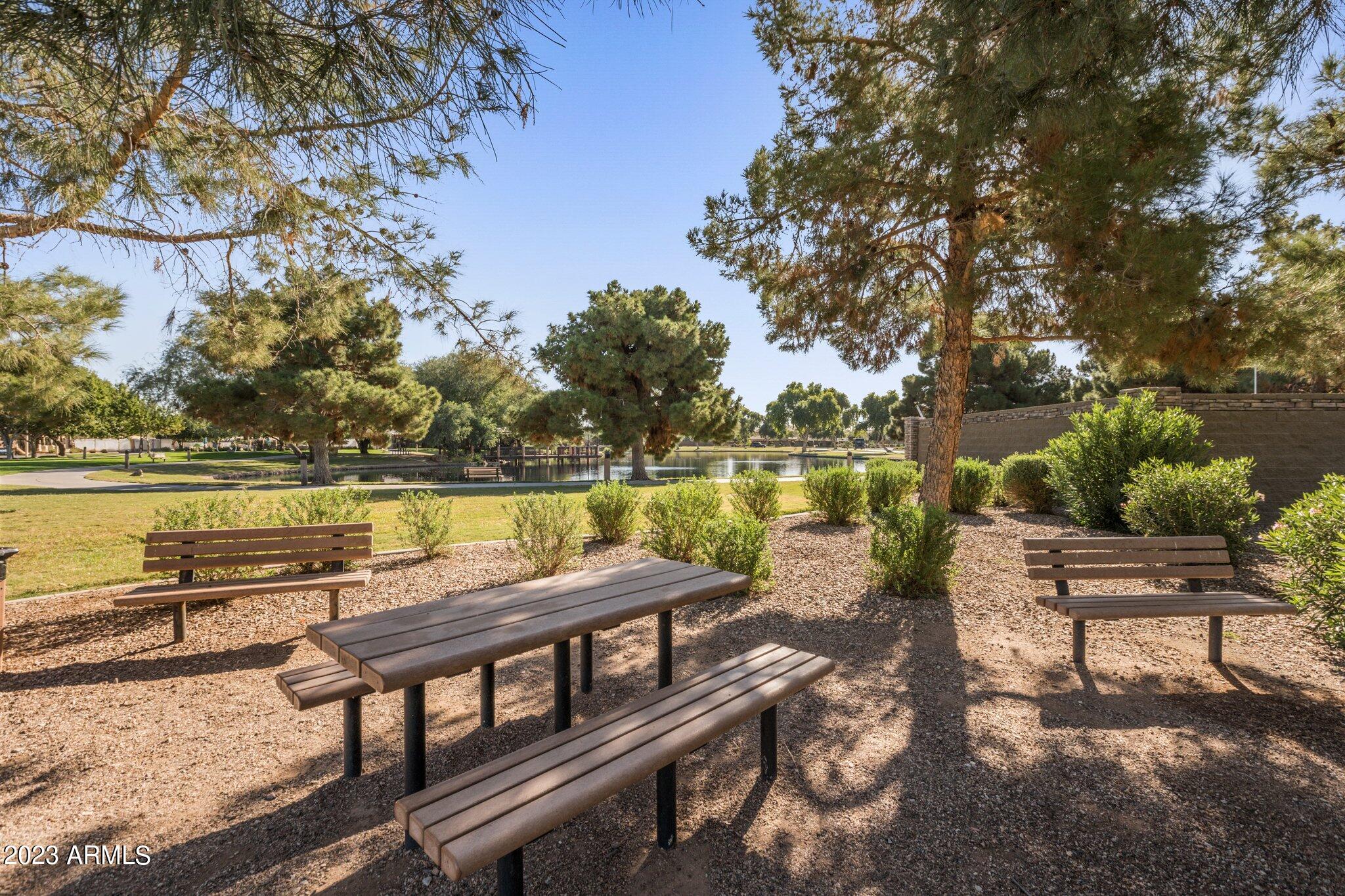 4565 East Ruffian Road Gilbert, AZ 85297 - Photo 45 of 47 a view of swimming pool with lake view and trees