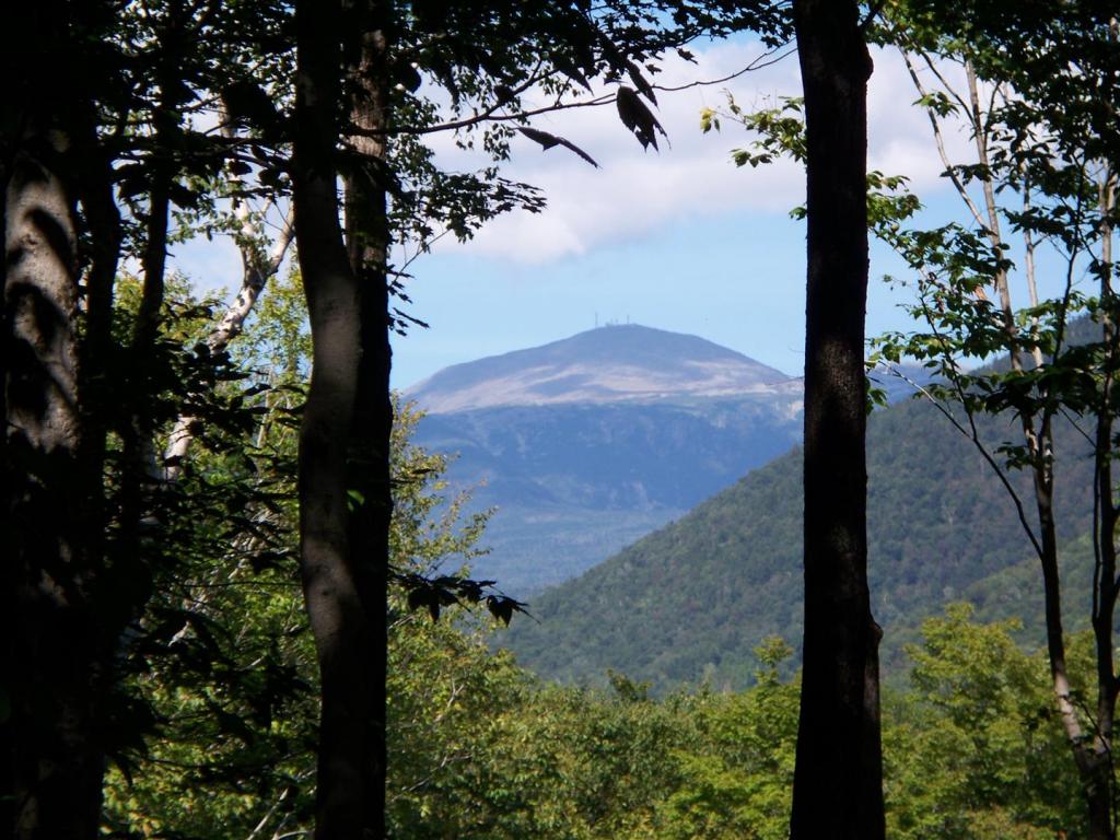 Lot 11 Bemis Road Bartlett, NH 03812 - Photo 1 of 7