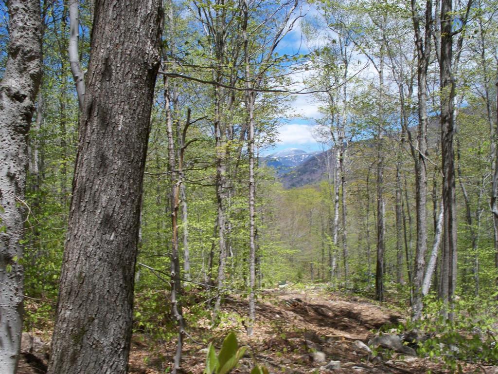 Lot 11 Bemis Road Bartlett, NH 03812 - Photo 2 of 7