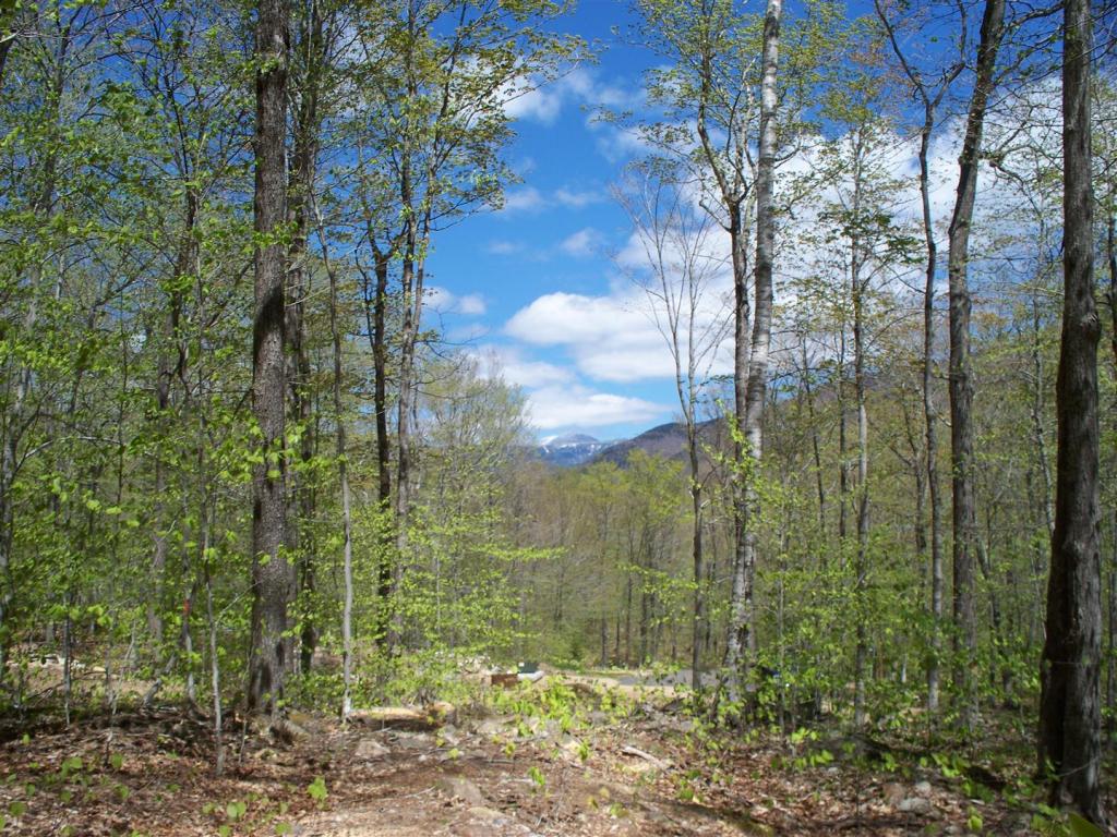 Lot 11 Bemis Road Bartlett, NH 03812 - Photo 3 of 7