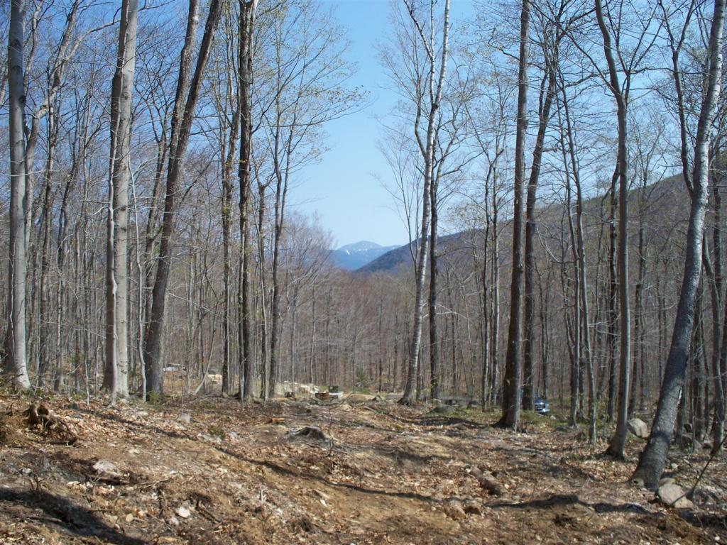 Lot 11 Bemis Road Bartlett, NH 03812 - Photo 5 of 7