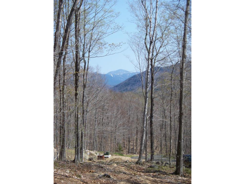 Lot 11 Bemis Road Bartlett, NH 03812 - Photo 6 of 7