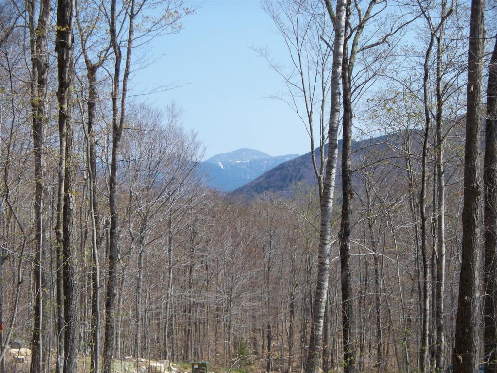 Lot 11 Bemis Road Bartlett, NH 03812 - Photo 7 of 7
