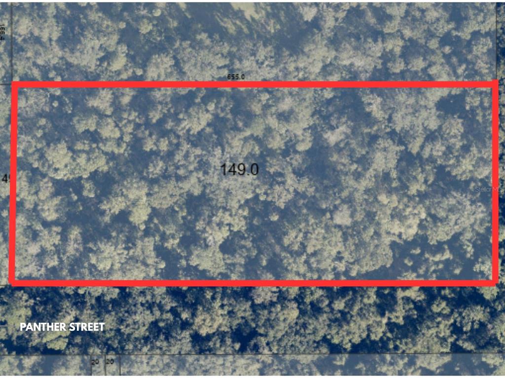 Panther Street Oviedo, FL 32765 - Photo 1 of 1 a view of a flower in a yard