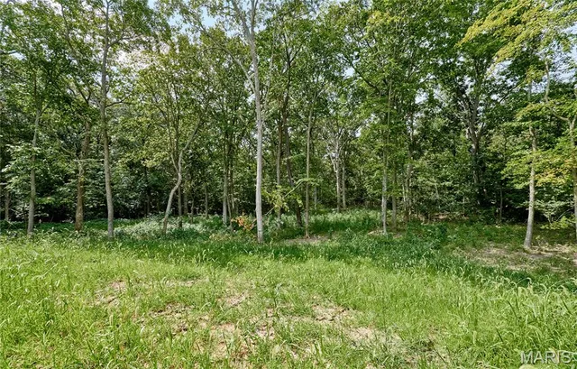 $1,389,000 | 170 Blue Sky Drive, Defiance, MO 63341