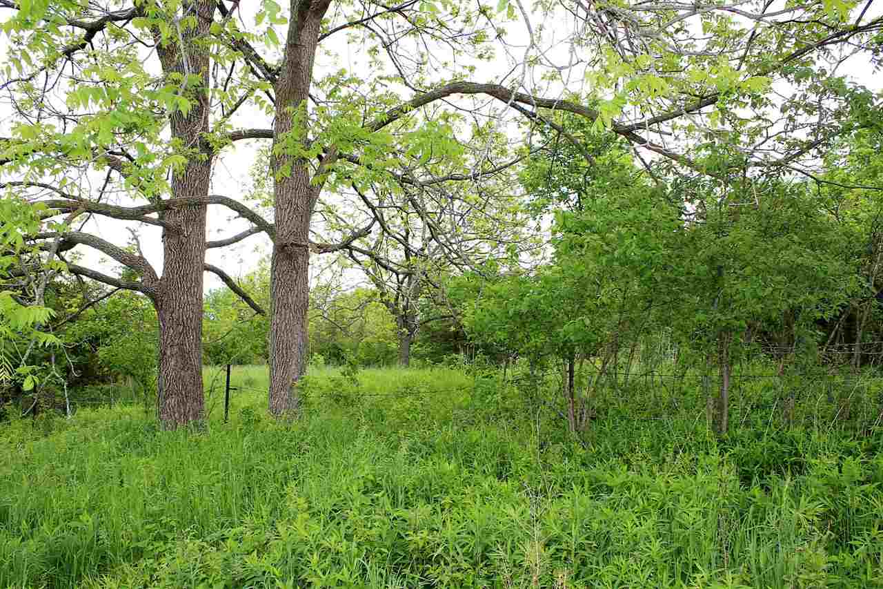 79th Street Preston, IA 52069 - Photo 1 of 21 Gallery Image 1