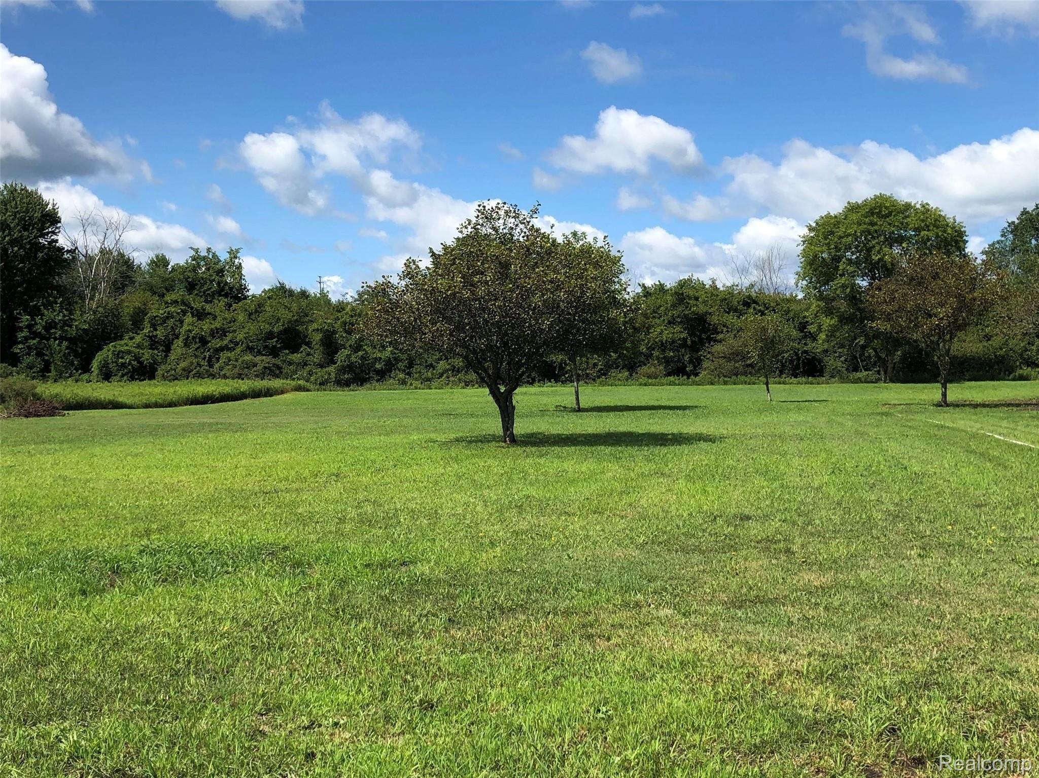 4960 Glover Road Almont, MI 48003 - Photo 6 of 35 Private, peaceful back yard with plenty of room for a pole barn, pool or whatever you can imagine!