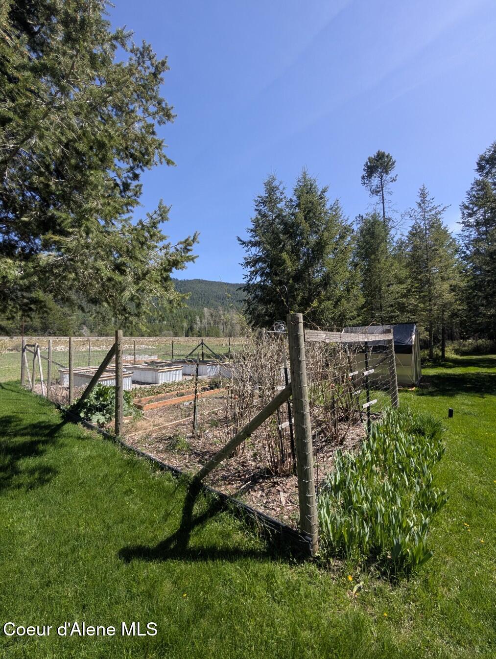 5574 Moyie River Road Bonners Ferry, ID 83805 - Photo 54 of 66 Established raised garden