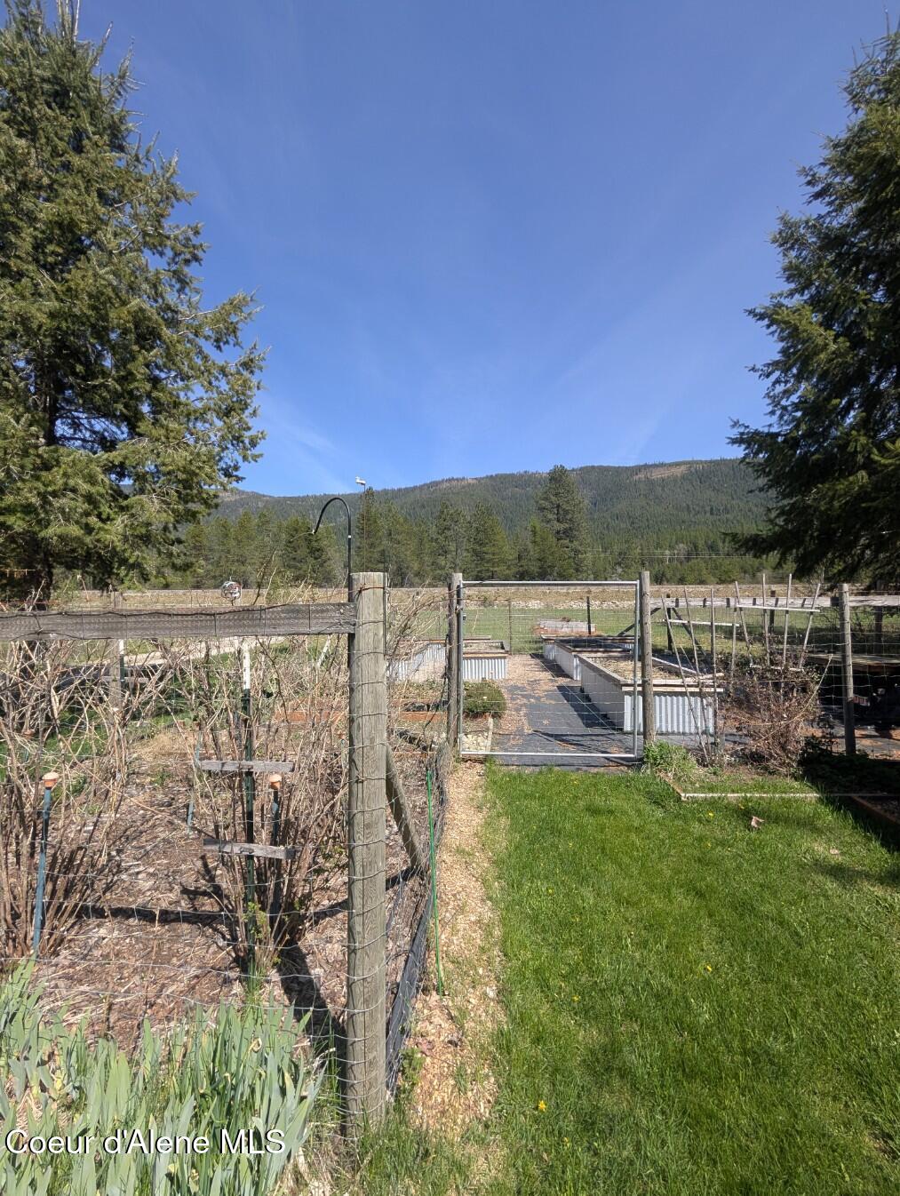 5574 Moyie River Road Bonners Ferry, ID 83805 - Photo 55 of 66 Berry bushes!!