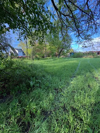 a view of backyard with green space