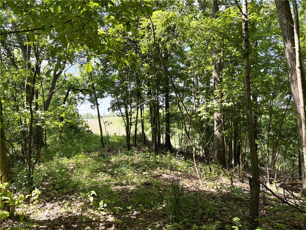 0 Camp Road Southeast Port Washington, OH 43837 - Photo 13 of 16 Gallery Image 13