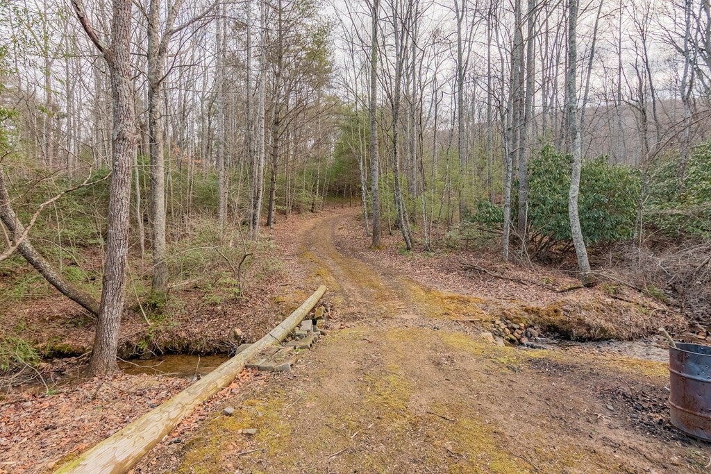 922 Ridgeview Road Northwest, Unit 4160 Floyd, VA 24091 - Photo 2 of 37 Gallery Image 2