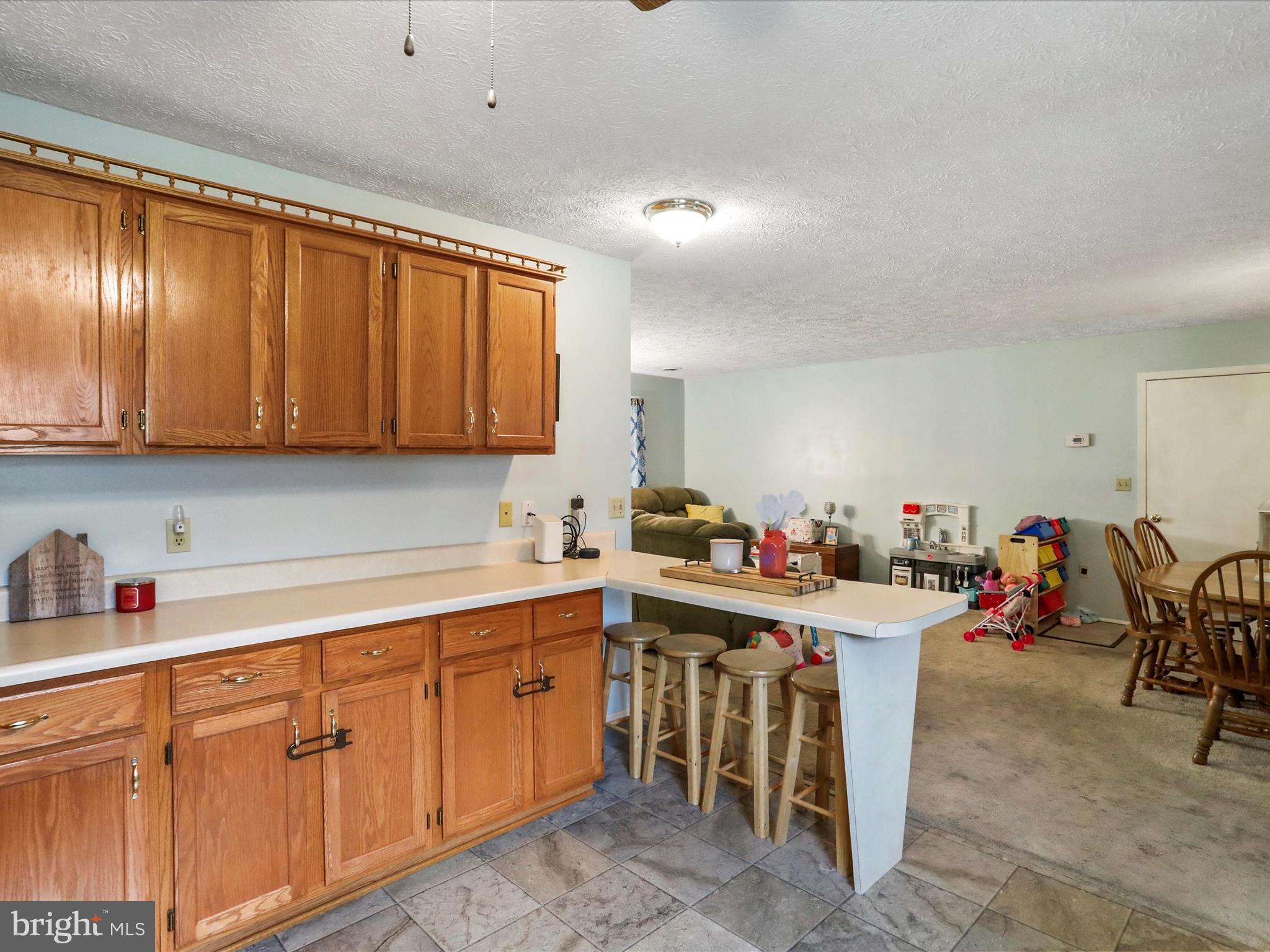 25 South Hummingbird Street Keyser, WV 26726 - Photo 13 of 25