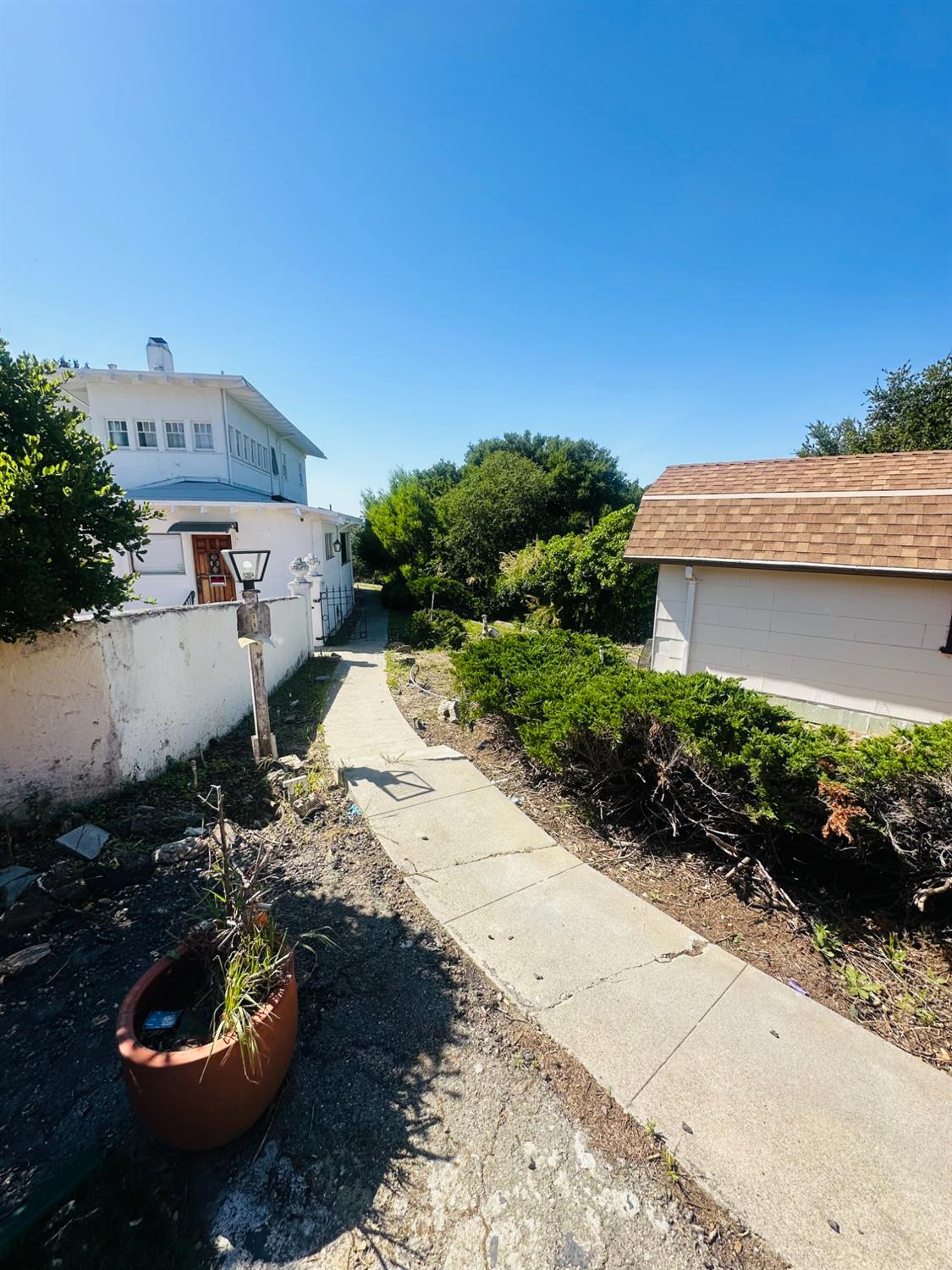 1556 E Street Hayward, CA 94541 - Photo 37 of 65 a view of a backyard with plants and a patio